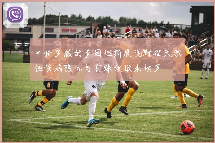 平价罗威的奎因坦斯展现野猫天赋但伤病隐忧与罚球致敬米切罗
