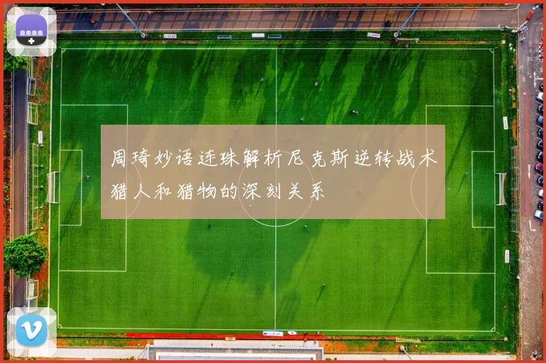 周琦妙语连珠解析尼克斯逆转战术猎人和猎物的深刻关系
